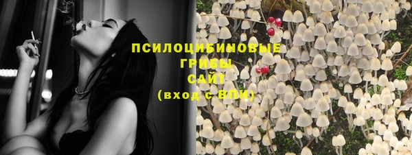 мет Протвино